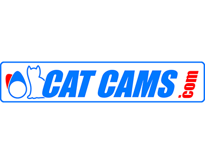 CatCams